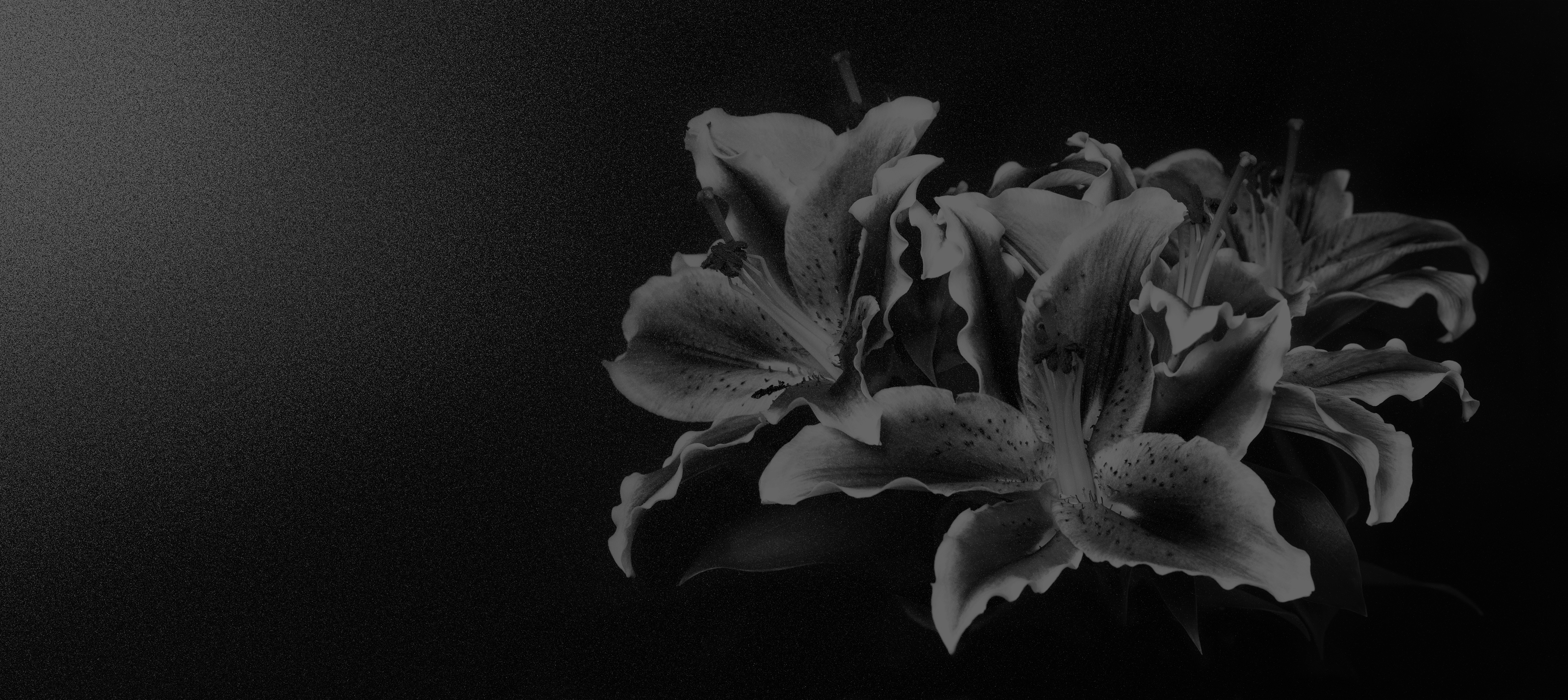 BlueOcean ヒーロービジュアル