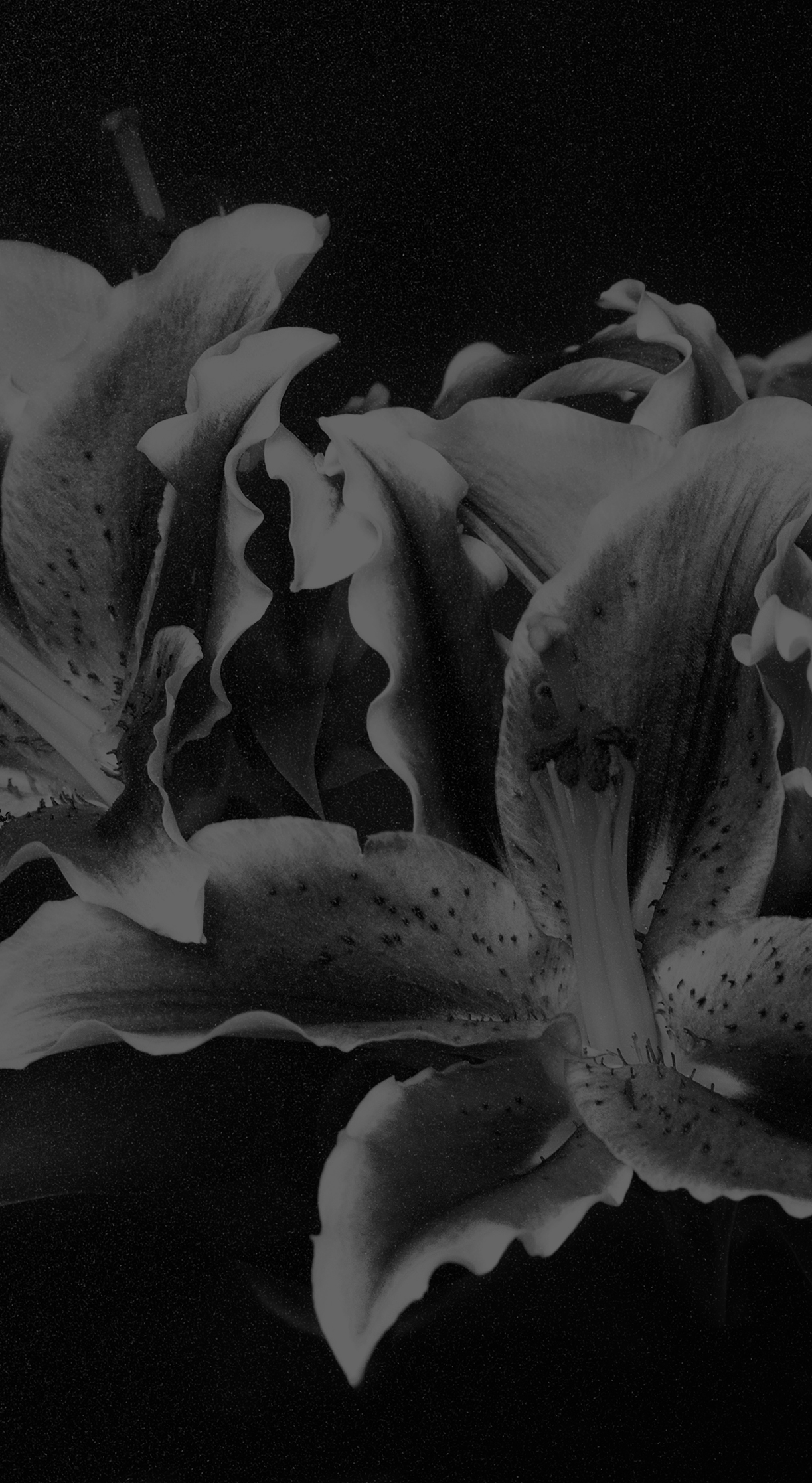 BlueOcean ヒーロービジュアル